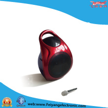 Coloful Portable Mini Speaker with Lithium Battery F905